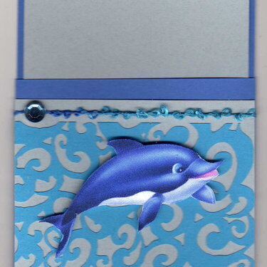 dolphin pocket