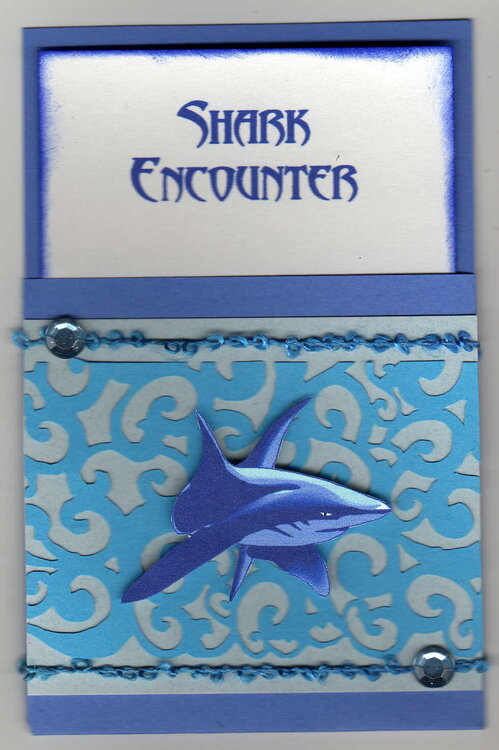 Shark Encounter library pocket