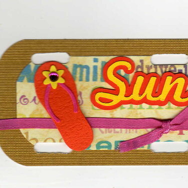 sun mini license plate
