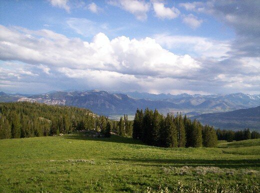 Lamar Valley