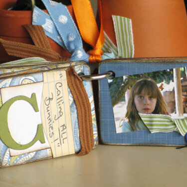 Backyard Bunny Book