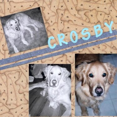 Scrapvivor WK6 - Crosby