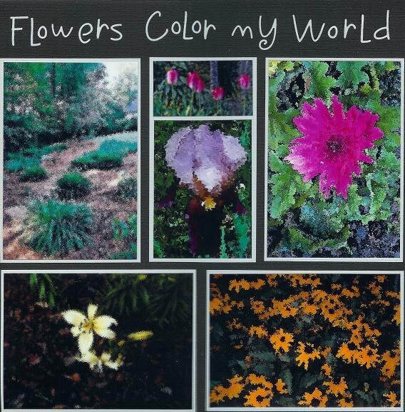 Flowers Color my World