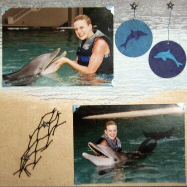 Swimming with Dolphins - Page 2