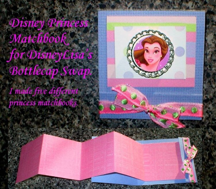 Disney Princess Matchbook