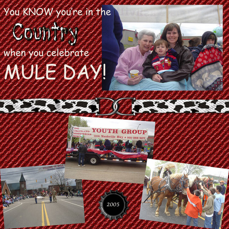 Mule Day DC
