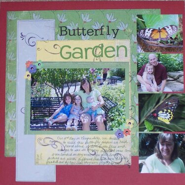 Butterfly Garden