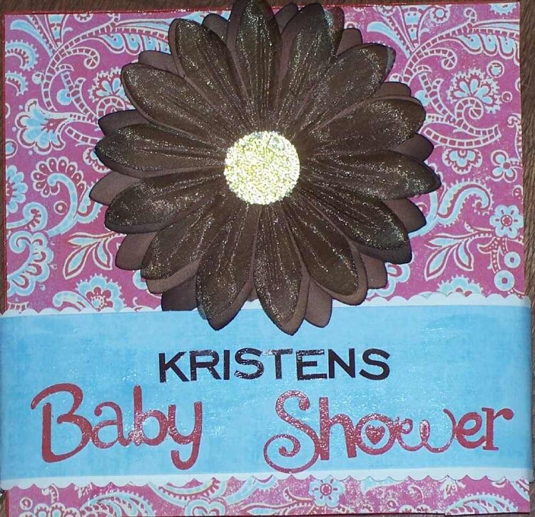 Baby Shower Accordian Album