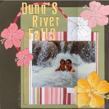 Dunn&#039;s River Falls