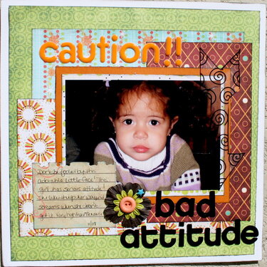 *Caution!  Bad Attitude*