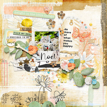 Delight In The Little Things