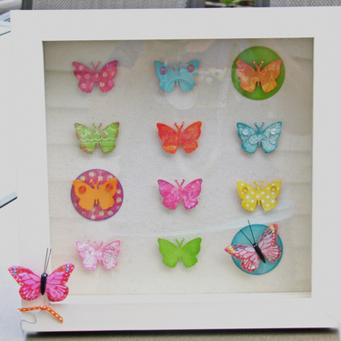 Butterfly Shadow Box