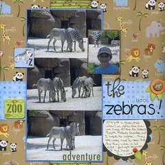 The Zebras Rock
