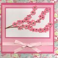 Cherry blossom card