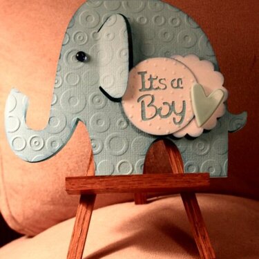 It&#039;s a boy