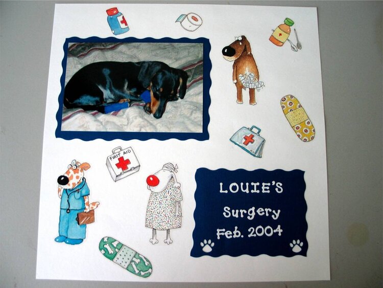 Louie&#039;s Surgery