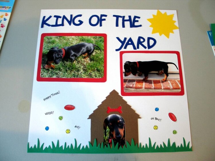 King of the Yard