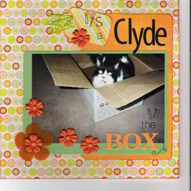 Its a Clyde in the Box