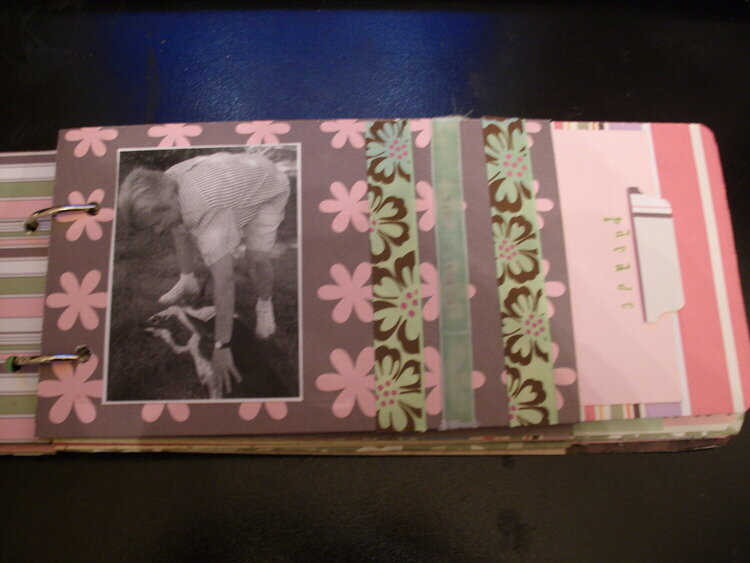 Library Card pocket album 4