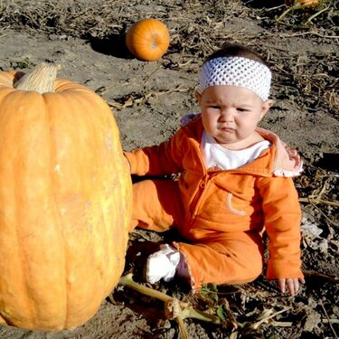 What a  Big pumpkin!