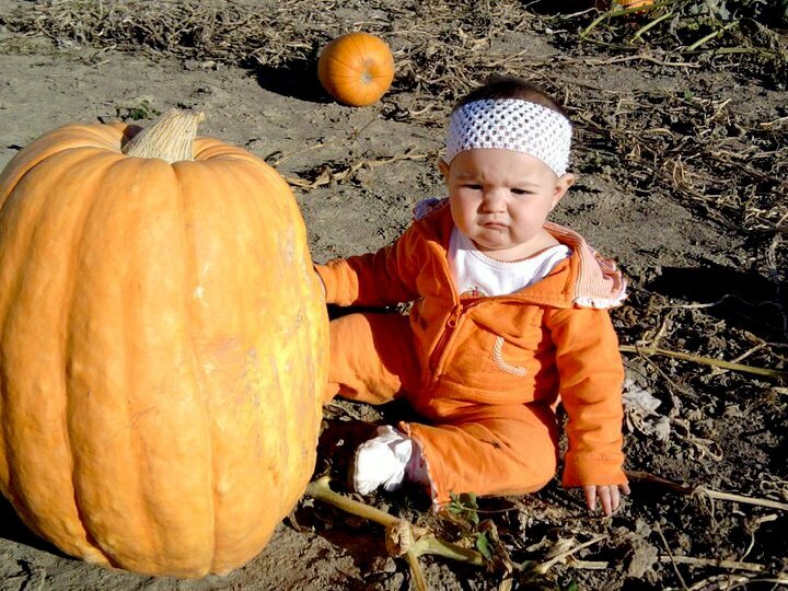 What a  Big pumpkin!