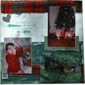 Christmas Tree  2003