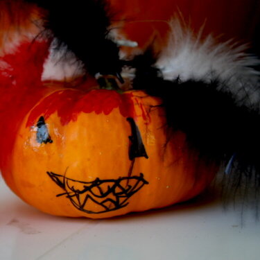 t,t,c photo hunt- a pumpkin