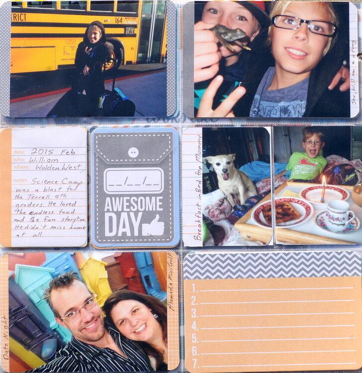 2015 Pocket Pages
