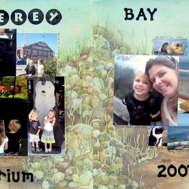 Monterey Bay Aquarium 2007