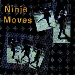 Ninja Moves