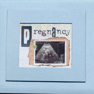 Pregnancy Album Cover
