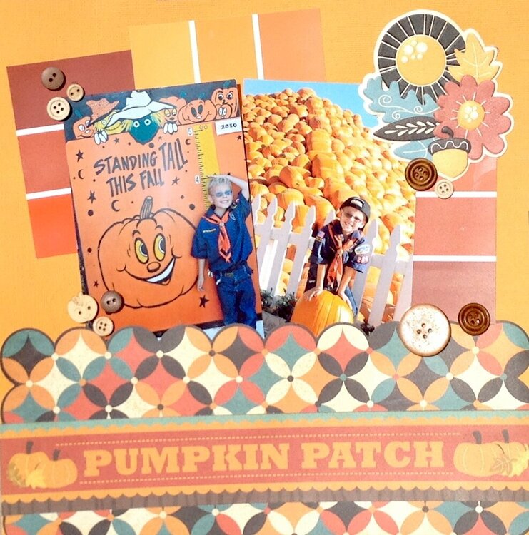 Pumpkin Patch