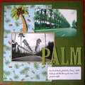 Palm Tree-lined