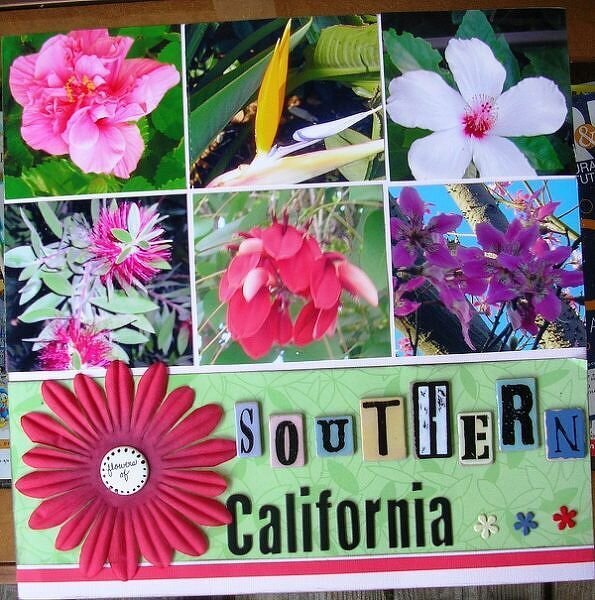 Flowers of So. California