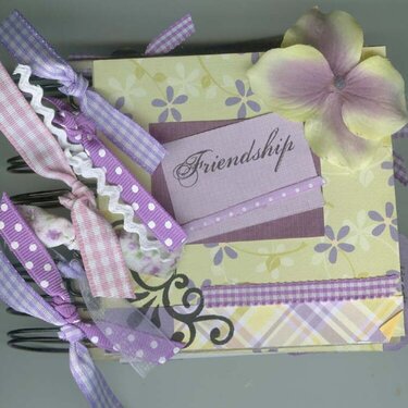 Friendship mini album