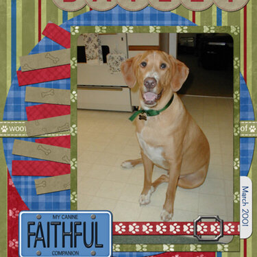 Bailey - Faithful Companion