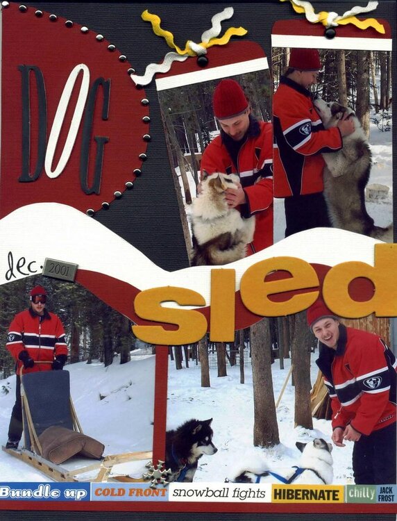 DOG SLEDDIN&#039; - LT SIDE