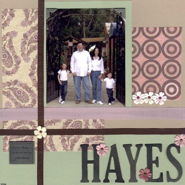 HAYES FAMILY 2006