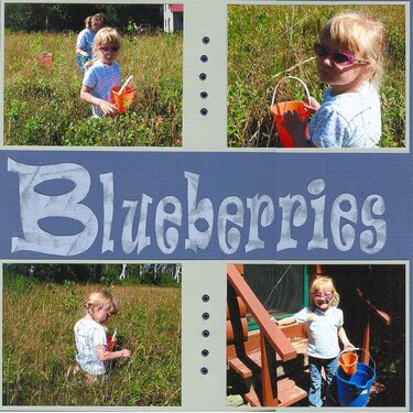 Blueberries for Cheyanne p1