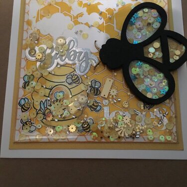 Double Shaker Baby Card; Bee Themed