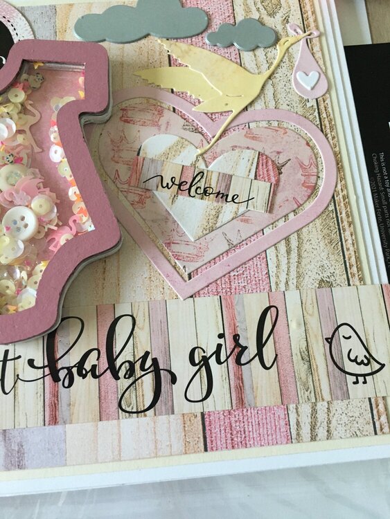 Baby Girl Shaker Card