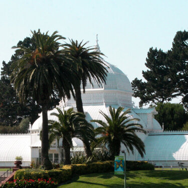 Conservatory of Flowers