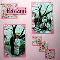 Hanami: Cherry blossom festival