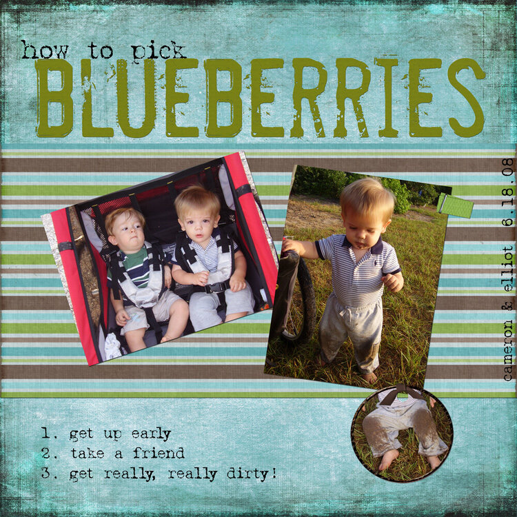how to pick blueberries