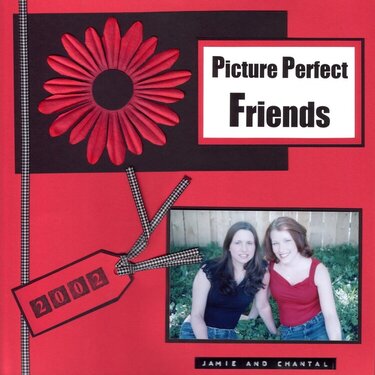 Picture Perfect Friends