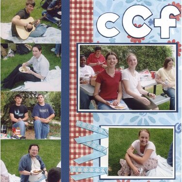 cCf picnic side1