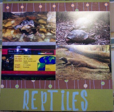 Reptiles