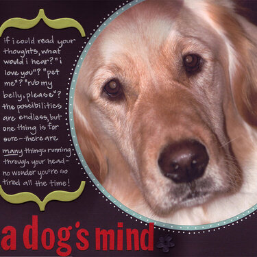 A Dog&#039;s Mind