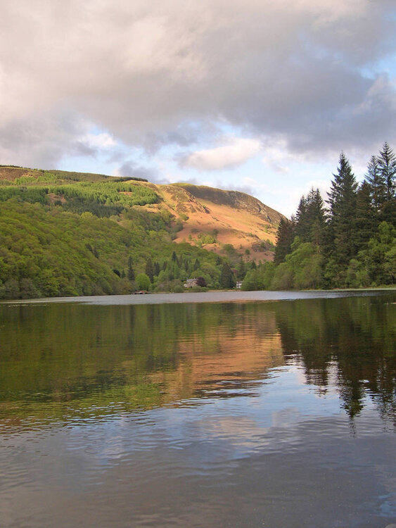 Scotland ~ Loch Ard, Aberfoyle ~ May 2006