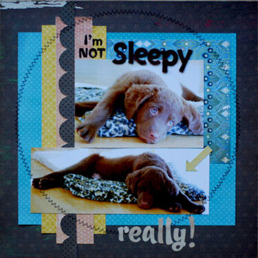 I&#039;m Not Sleepy - Really